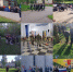 Республиканский этап военно-патриотической игры «Зарница 2.0» в средней категории успешно завершился - Яльчикский район